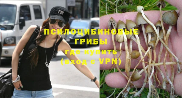 PSILOCYBIN Абаза