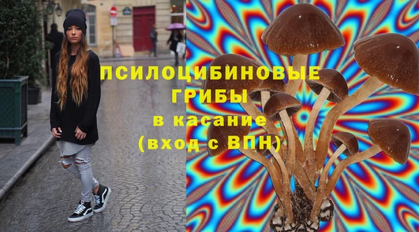 PSILOCYBIN Абаза