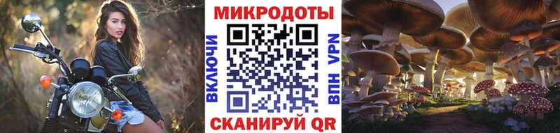 даркнет сайт  Фатеж  Галлюциногенные грибы Psilocybine cubensis 